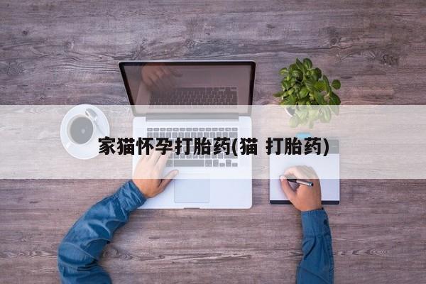 怀孕大月份能不能用米非司酮家猫怀孕打胎药(猫 打胎药)