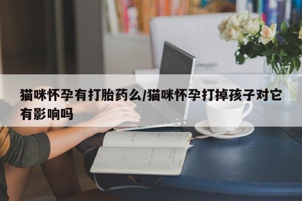 怀孕大月份能不能用米非司酮猫咪怀孕有打胎药么/猫咪怀孕打掉孩子对它有影响吗